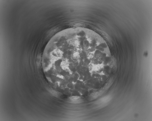 X0000116570189201001211251