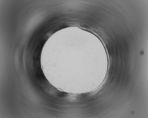 X0000116570190201001211251