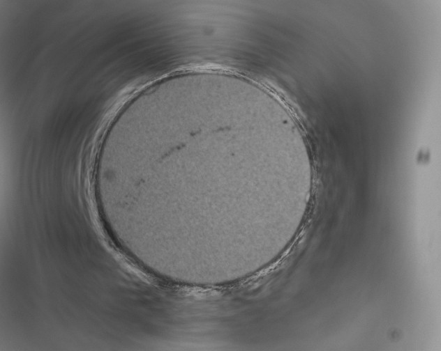 X0000116570193201001211251