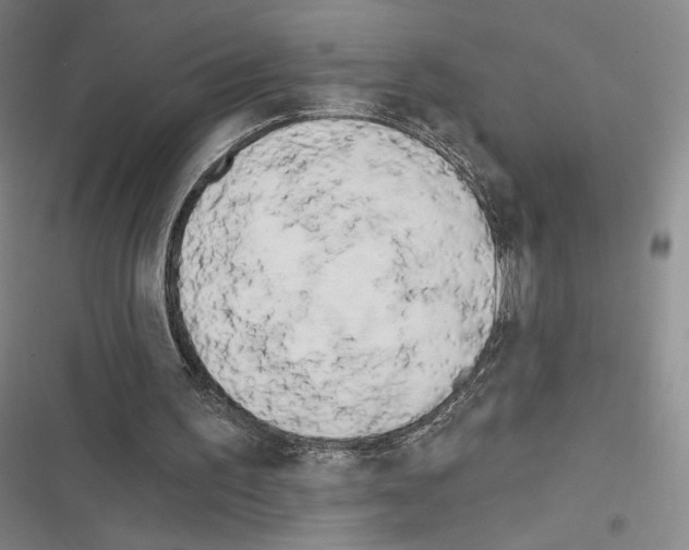 X0000116570195201001211251