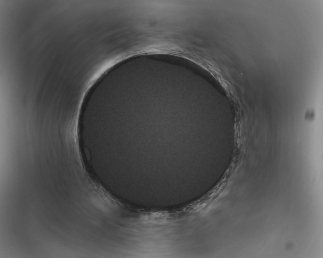 X0000116570196201001211251