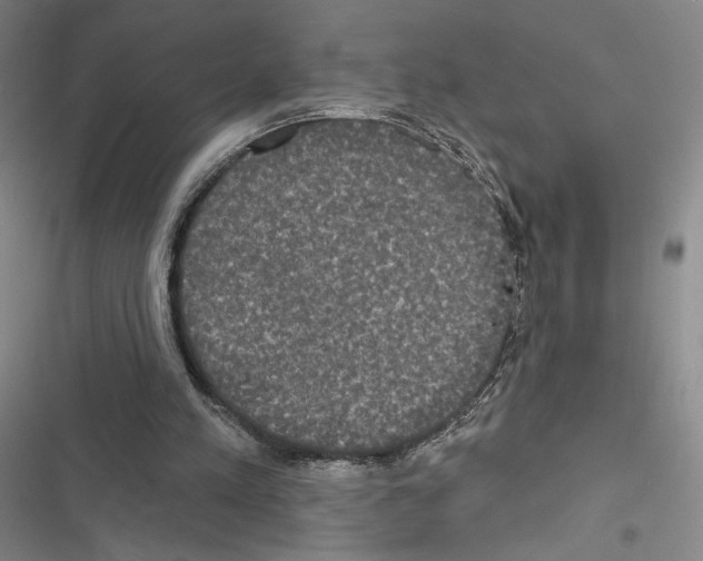 X0000116570197201001211251