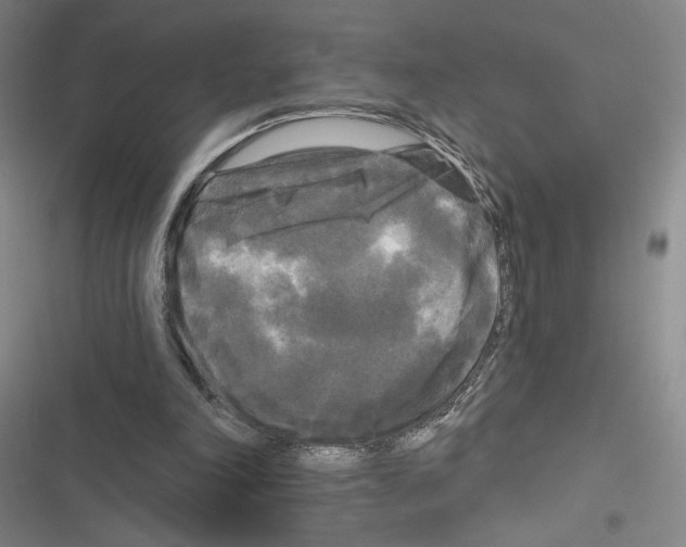 X0000116570198201001211251