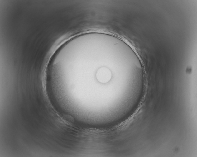 X0000116570199201001211251