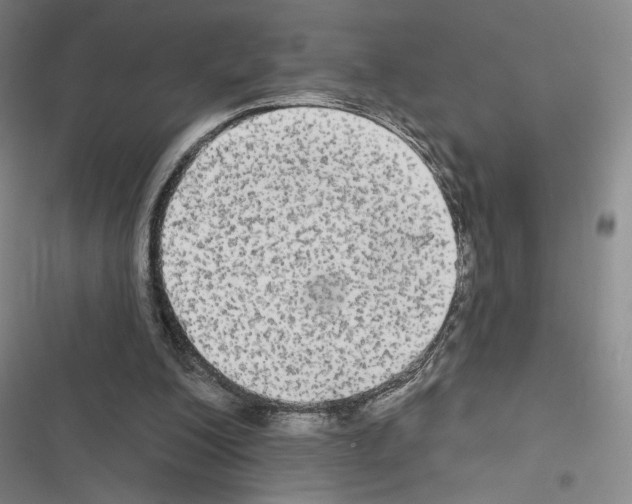 X0000116570200201001211251