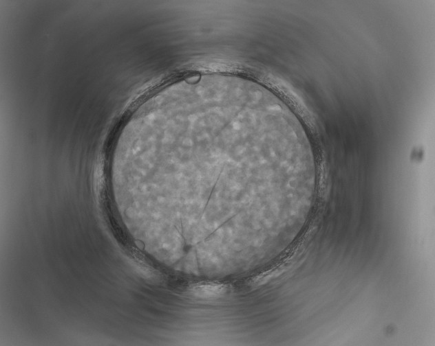 X0000116570202201001211250