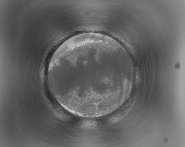 X0000116570206201001211250