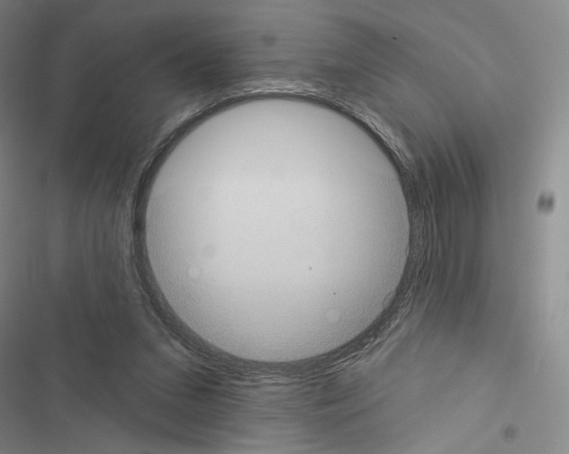 X0000116570207201001211250