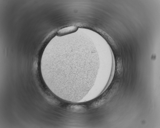 X0000116570208201001211250