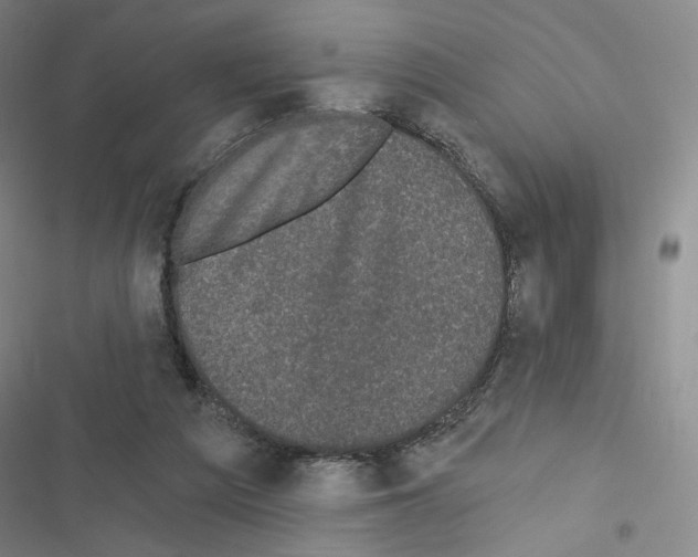 X0000116570209201001211250