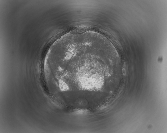 X0000116570210201001211250