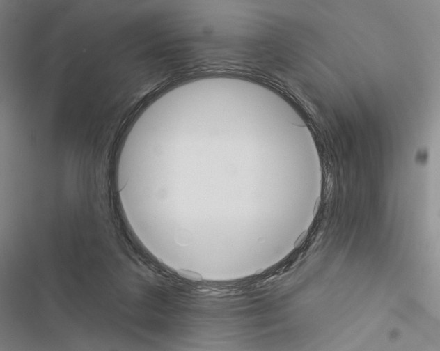 X0000116570211201001211250