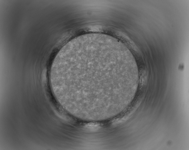 X0000116570213201001211250