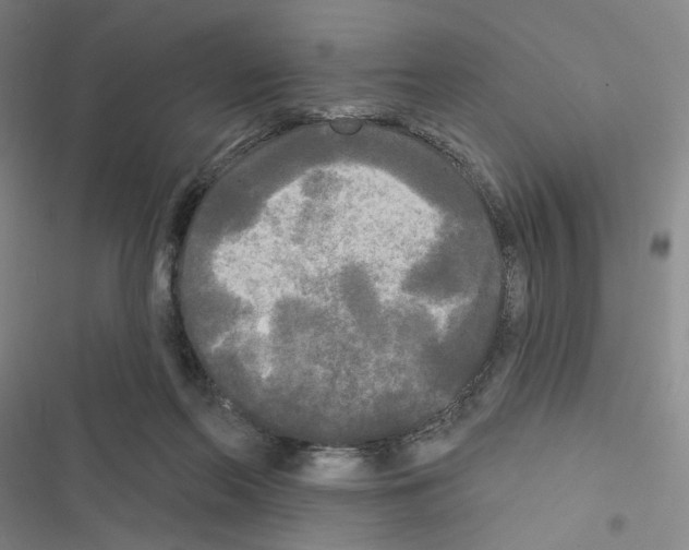 X0000116570214201001211250