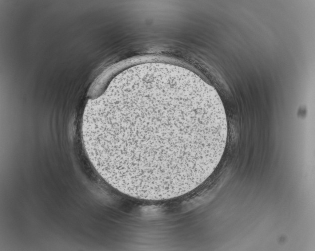 X0000116570216201001211250