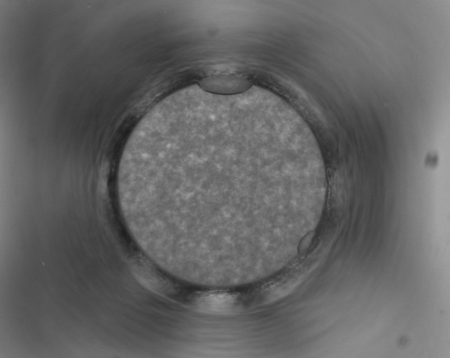 X0000116570217201001211250