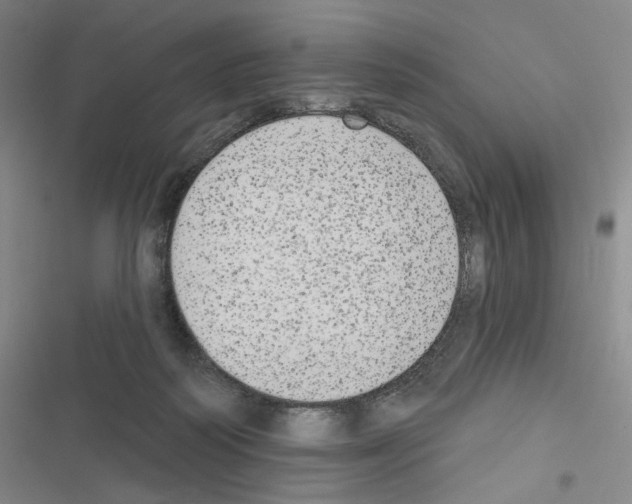 X0000116570218201001211250