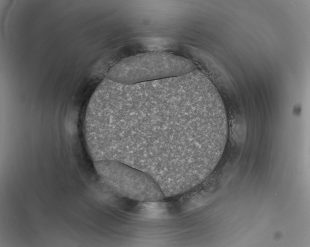 X0000116570221201001211250