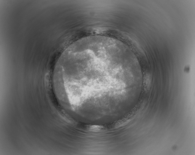 X0000116570222201001211250