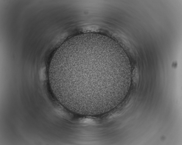 X0000116570224201001211250