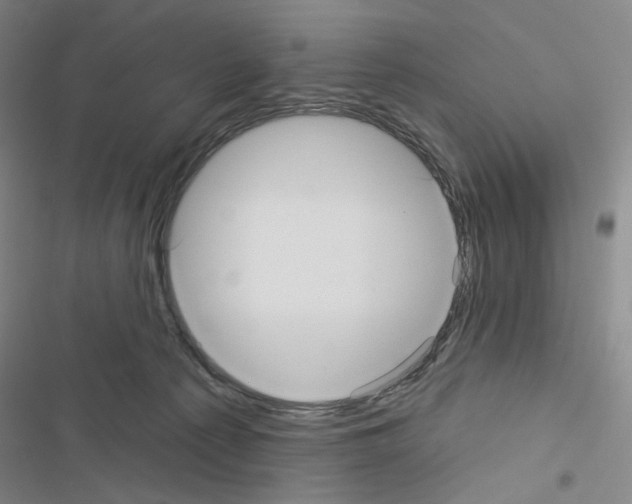 X0000116570225201001211250