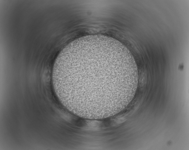 X0000116570226201001211250