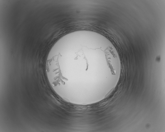 X0000116570227201001211250