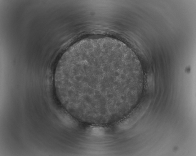 X0000116570228201001211250