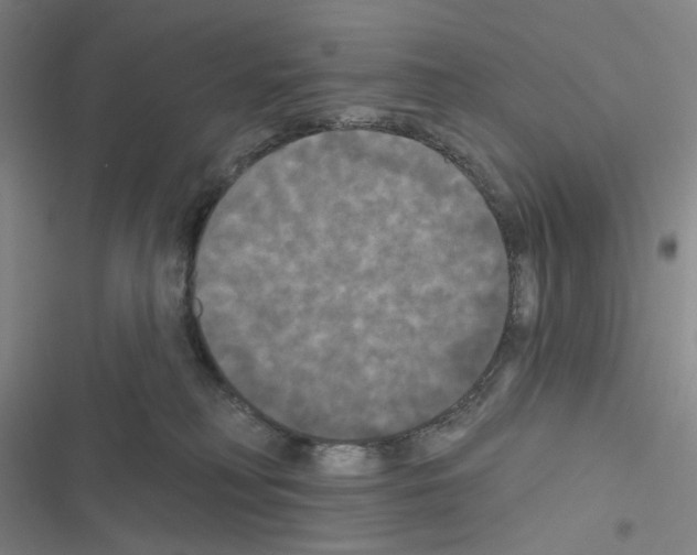 X0000116570230201001211250