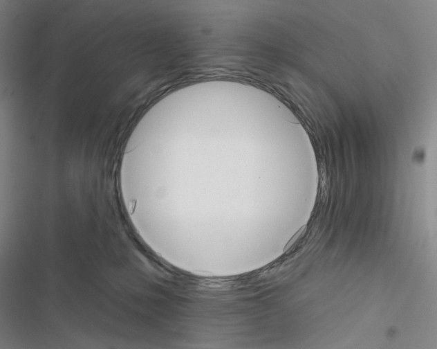 X0000116570231201001211250