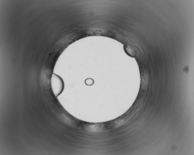 X0000116570232201001211250