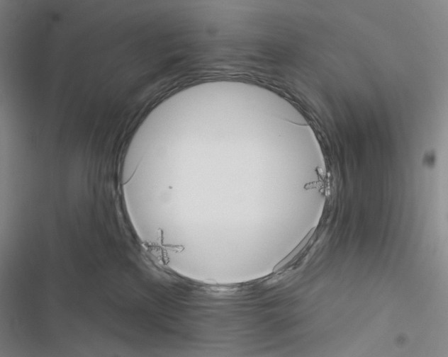 X0000116570233201001211250