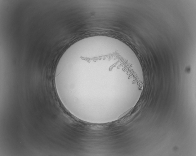 X0000116570235201001211250