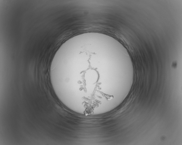 X0000116570237201001211250