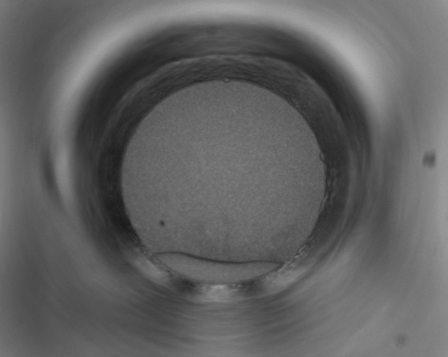 X0000116570239201001211250