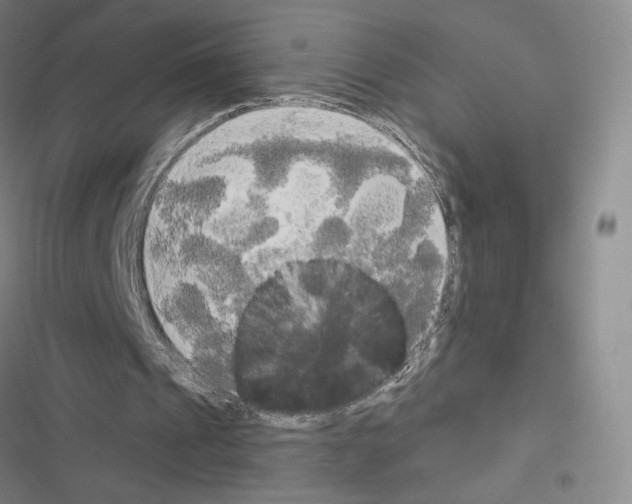 X0000116570241201001211249