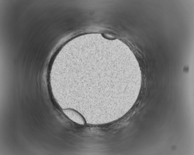 X0000116570244201001211249