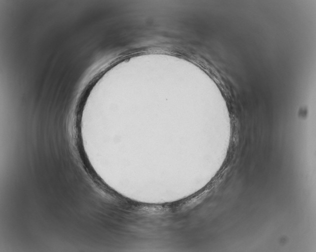 X0000116570245201001211249