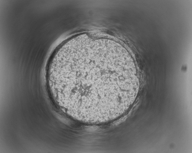 X0000116570246201001211249