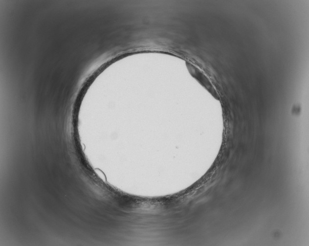 X0000116570248201001211249