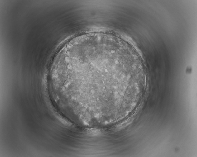 X0000116570249201001211249