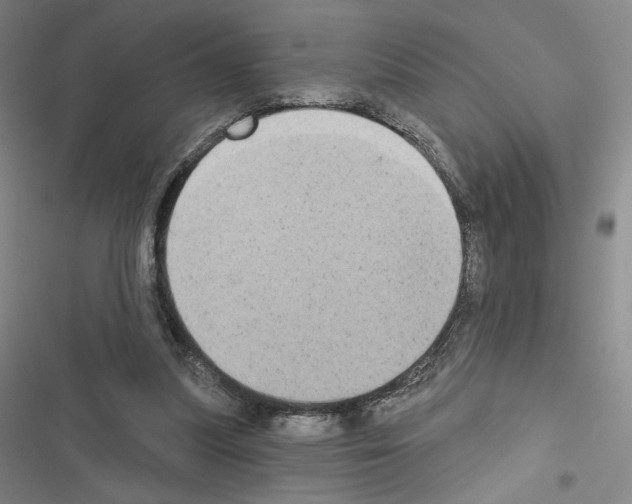 X0000116570251201001211249