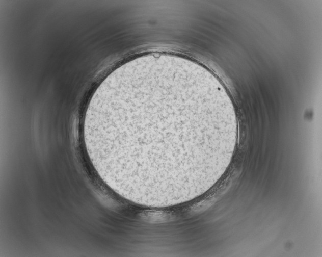 X0000116570253201001211249