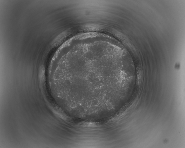 X0000116570254201001211249