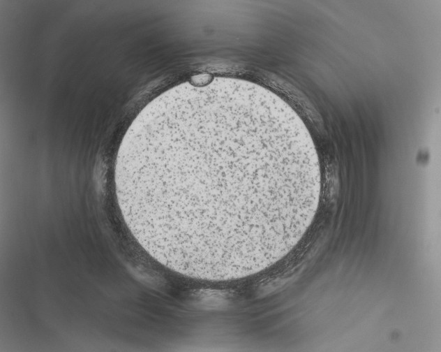 X0000116570255201001211250