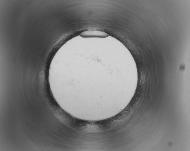 X0000116570256201001211250