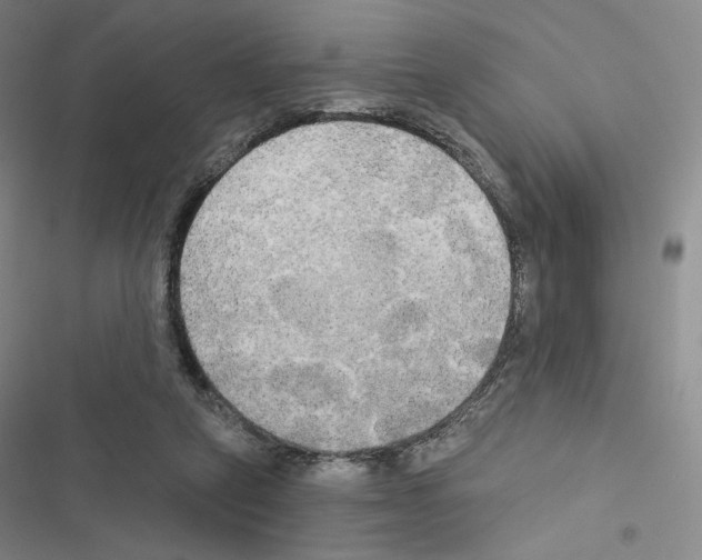 X0000116570257201001211250