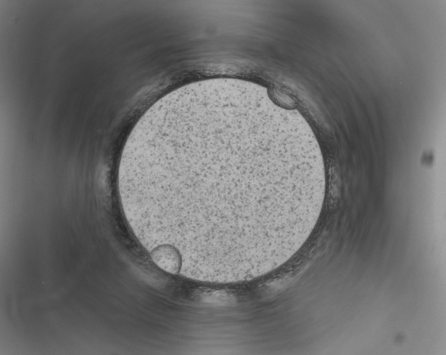 X0000116570258201001211250