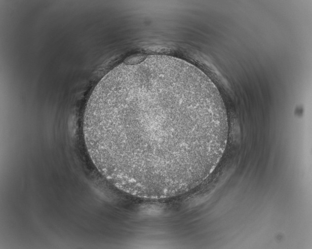 X0000116570259201001211250