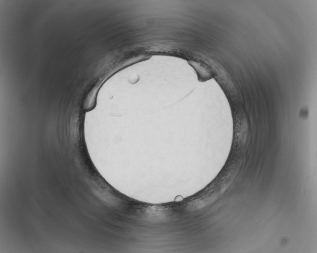 X0000116570261201001211250